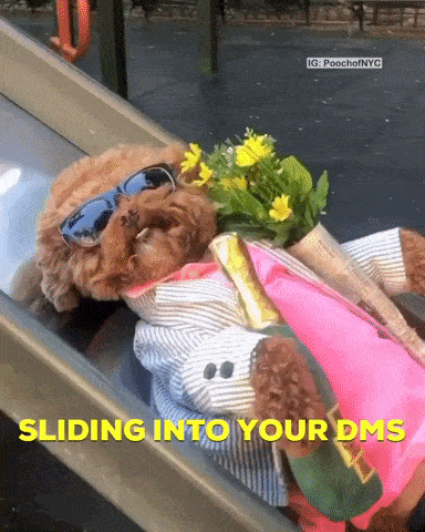 slide-into-your-dms